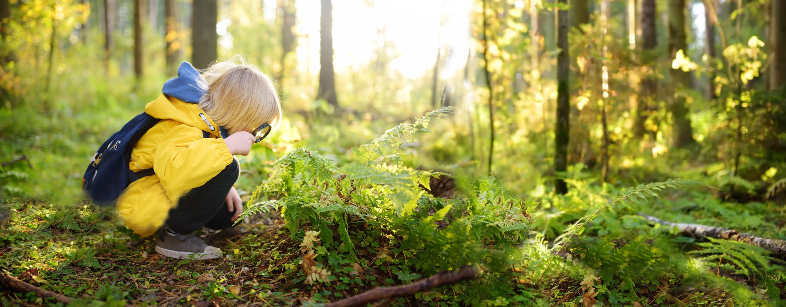 Child exploring a forest floor with a magnifying glass