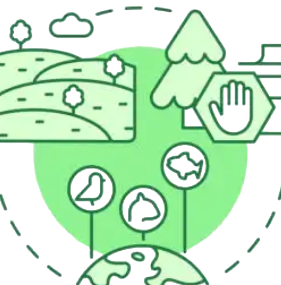 ERA ecosystems illustration