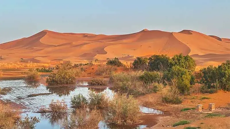Resilient, Sovereign, Sustainable Algeria