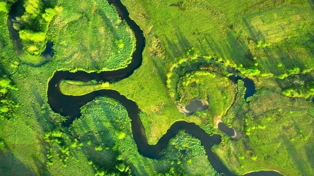 Nature-Based Solutions: Changing How We Think About Water